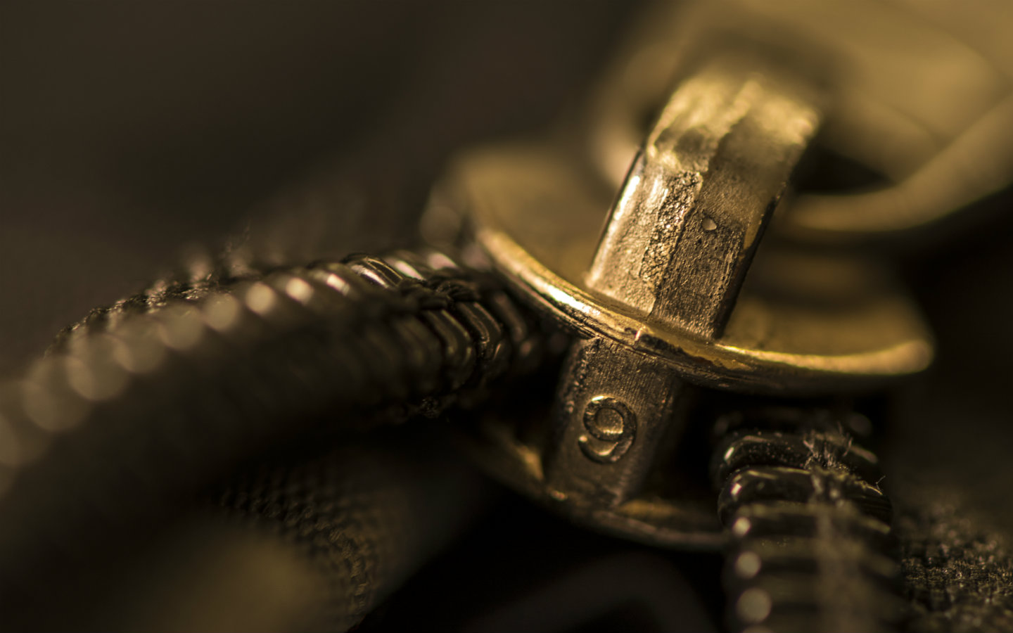 Zipper Photo from Sergio Boscaino on Flickr